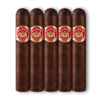 Punch Rothschild 4.5x50 Maduro hộp 50