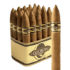 Quorum Shade Torpedo 6x50 EMS bó 20