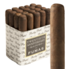 Rocky Patel 20th Anniversary Fumas Robusto 5x50 Maduro bó 20
