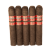 Rocky Patel Freedom Maduro Sixty 6x60 Maduro hộp 20