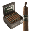 Rocky Patel Java Mint Petite Corona 4.5x38 Maduro hộp 40