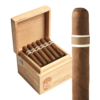 RoMa Craft CroMagnon Aquitaine Pestera Muierilor 4x46 EMS hộp 30