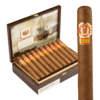 Saint Luis Rey Carenas Magnum hộp 20