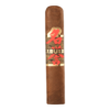 Samurai Robusto 4.25x54 EMS hộp 10