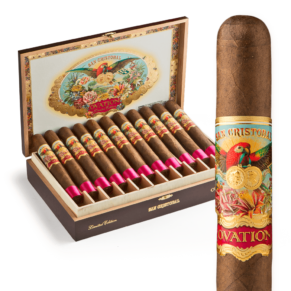 San Cristobal Ovation Limited Edition Decadence 6.5x52 Oscuro hộp 22