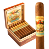 San Cristobal Quintessence Corona Gorda 5.62x46 EMS hộp 24