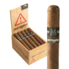 Surrogates by L'Atelier Tramp Stamp 5.25x48 Maduro hộp 20