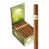 Tatiana Classic Caribbean Chill 6x44 EMS hộp 25