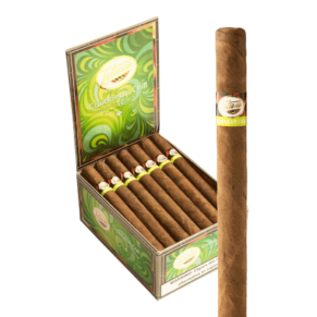 Tatiana Classic Caribbean Chill 6x44 EMS hộp 25