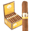 Tatiana Classic Tatiana Honey Robusto hộp 25