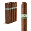 Umbagog Corona Gorda 6x48 Maduro bó 10